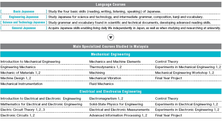 curriculum